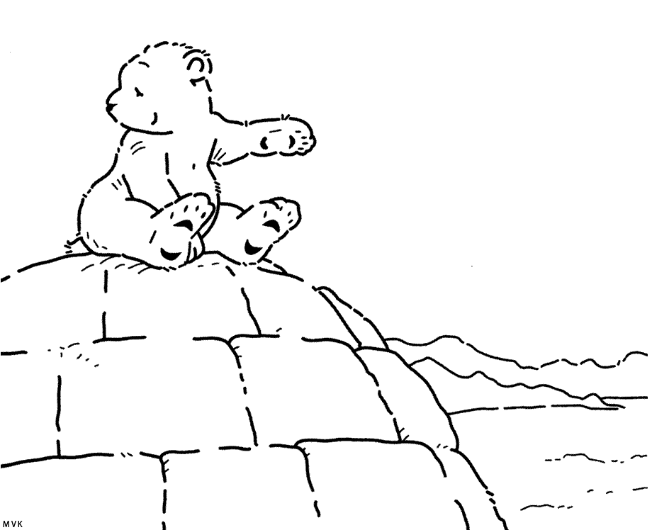 little polar bear001
